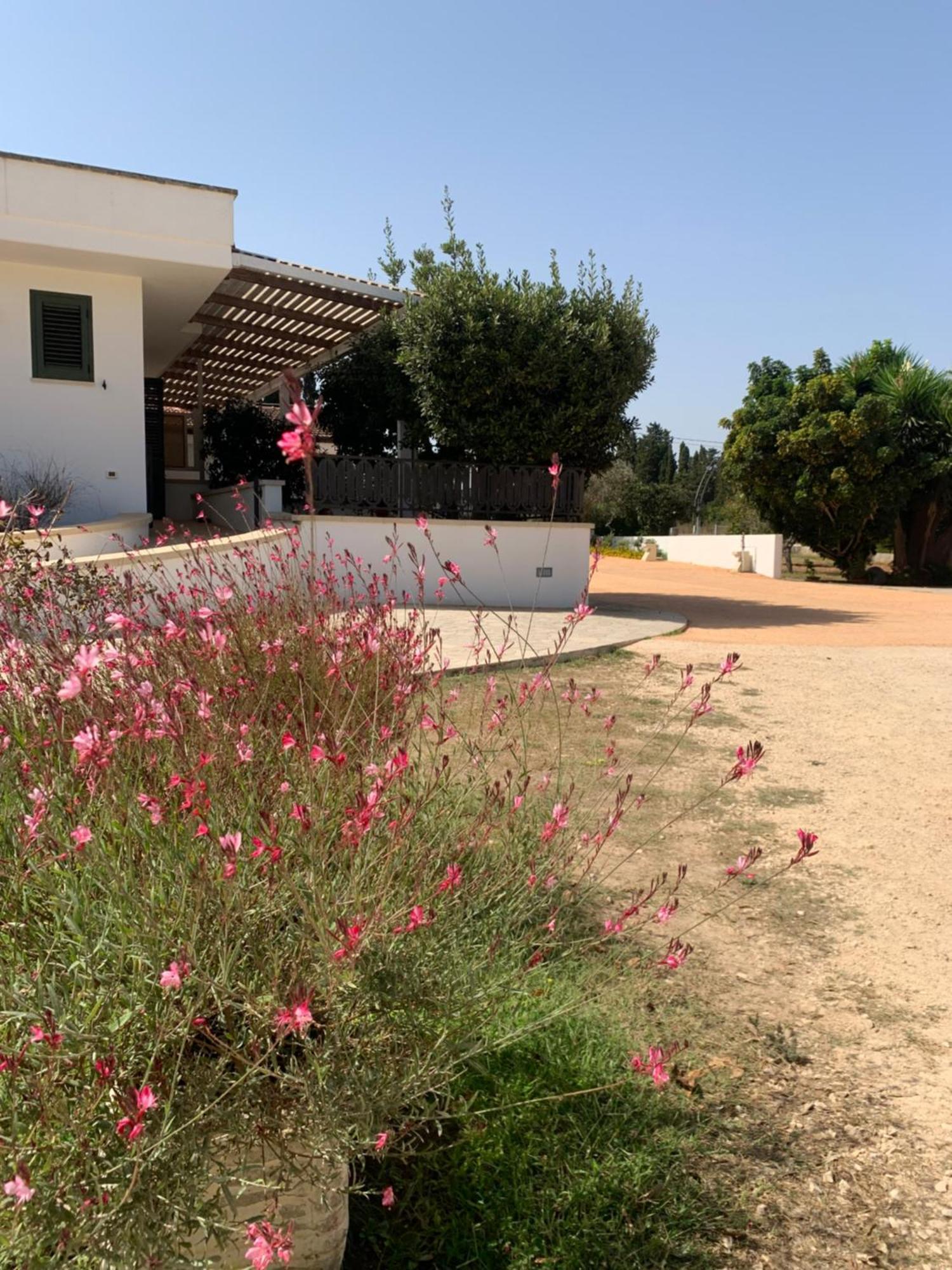 Agriturismo Fontanelle Отранто Екстериор снимка