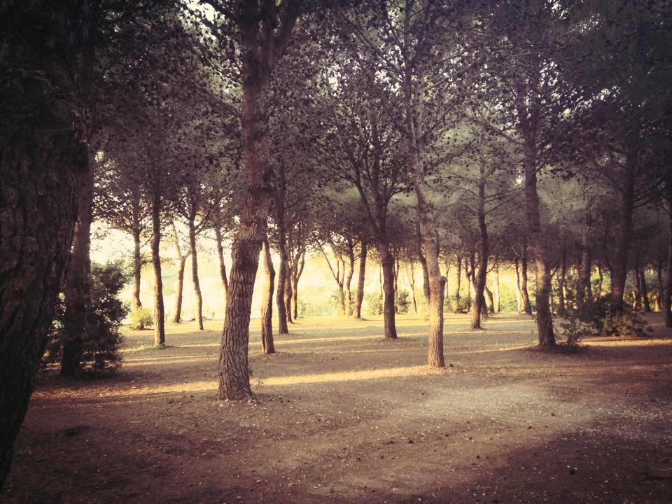 Agriturismo Fontanelle Отранто Екстериор снимка